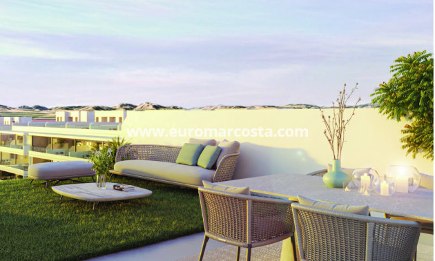 Nueva construcción  - Ático - Torrevieja - TORREVIEJA