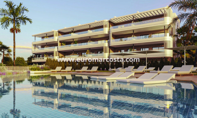 Nueva construcción  - Apartamento / piso - Torrevieja - TORREVIEJA