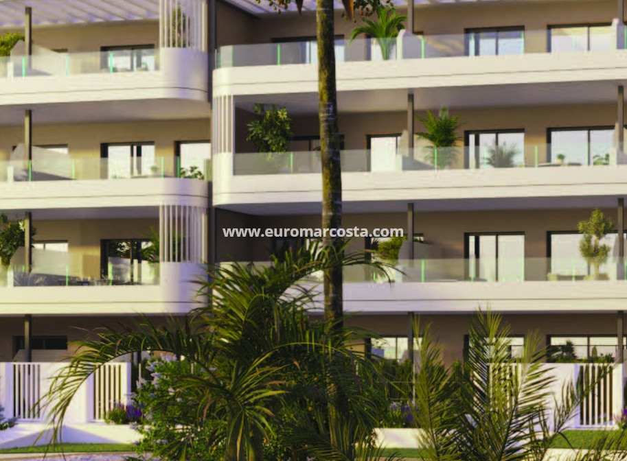 Nueva construcción  - Ático - Torrevieja - TORREVIEJA