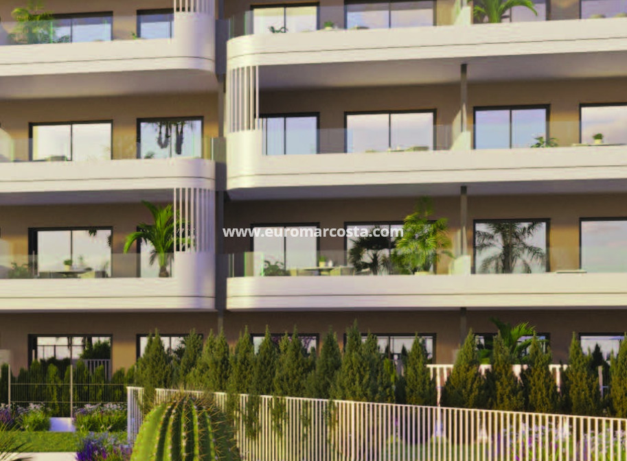 Nueva construcción  - Ático - Torrevieja - TORREVIEJA