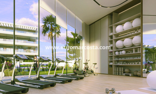 Nueva construcción  - Ático - Torrevieja - TORREVIEJA