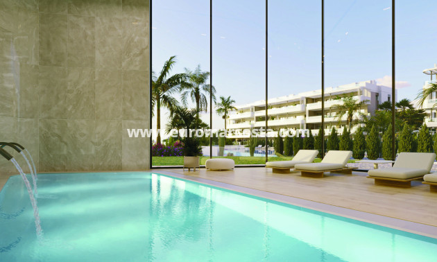 Nueva construcción  - Ático - Torrevieja - TORREVIEJA