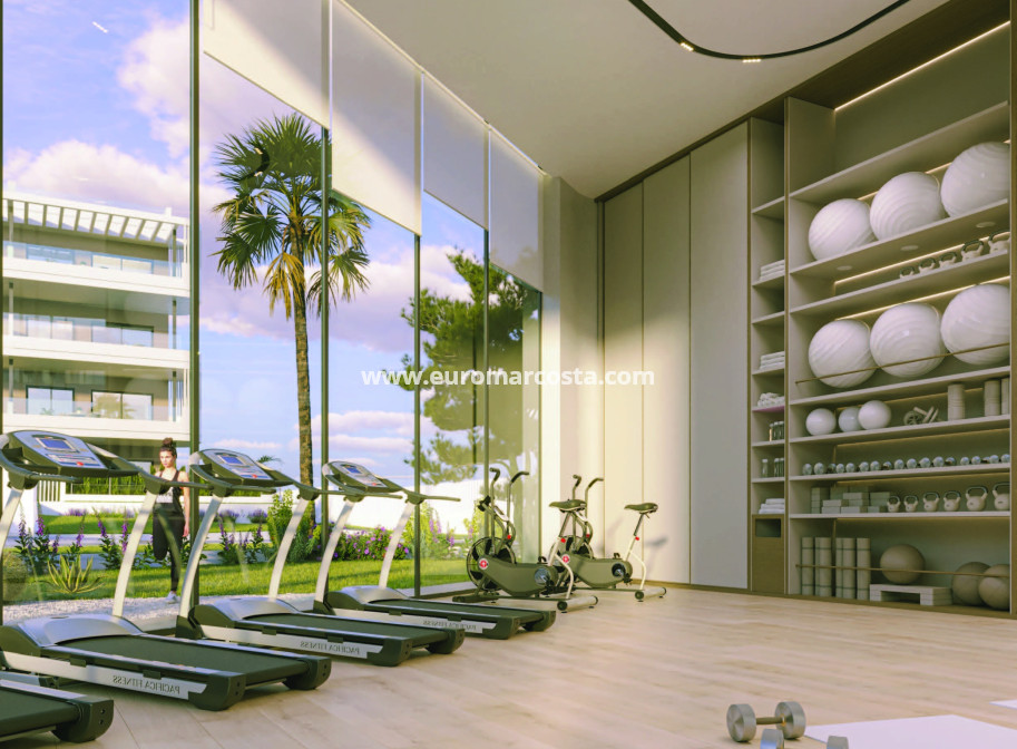 New Build - Penthouse - Torrevieja - TORREVIEJA