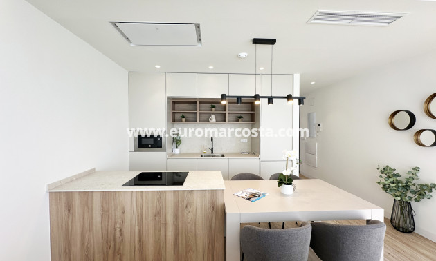 Neubauten - detached - Torre de la Horadada