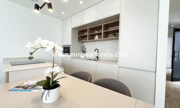 Neubauten - detached - Torre de la Horadada