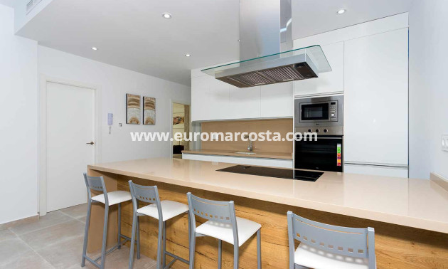 Nueva construcción  - detached - Daya Nueva