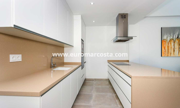 Nueva construcción  - detached - Daya Nueva