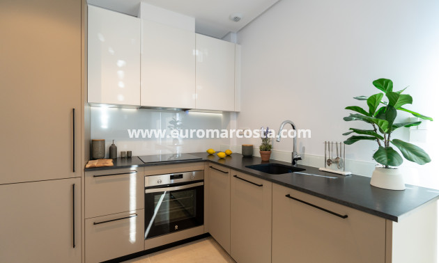 Nueva construcción  - terraced - Elche - Elche/Elx