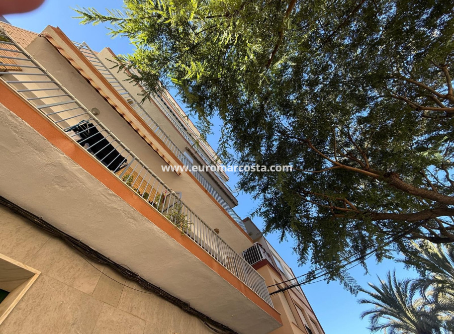 Sale - Apartment / flat - Guardamar del Segura