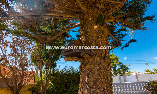 Objekte zum Wiederverkauf - Villa freitstehend - La Siesta - El Salado - Torreta - La Siesta