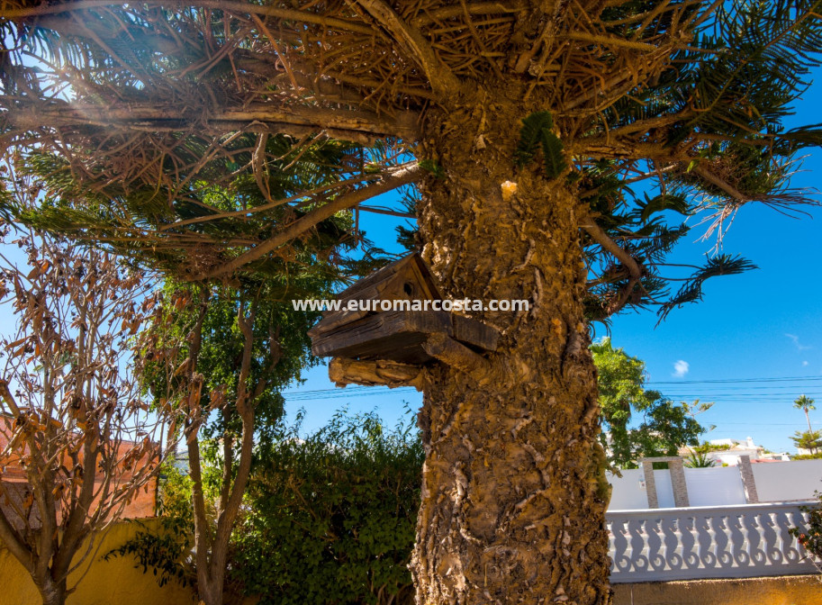 Objekte zum Wiederverkauf - Villa freitstehend - La Siesta - El Salado - Torreta - La Siesta