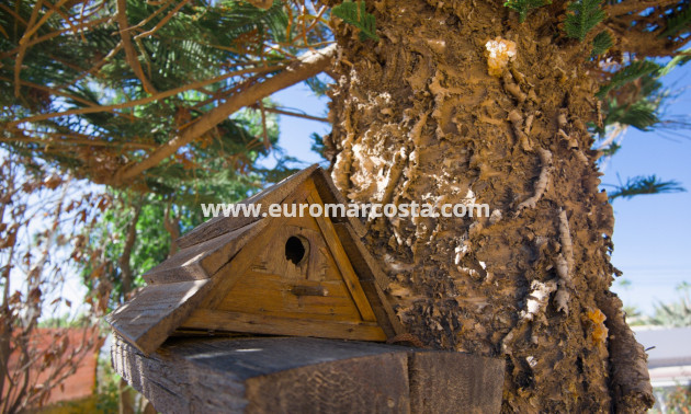 Objekte zum Wiederverkauf - Villa freitstehend - La Siesta - El Salado - Torreta - La Siesta