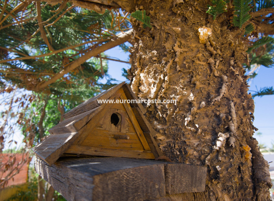 Objekte zum Wiederverkauf - Villa freitstehend - La Siesta - El Salado - Torreta - La Siesta