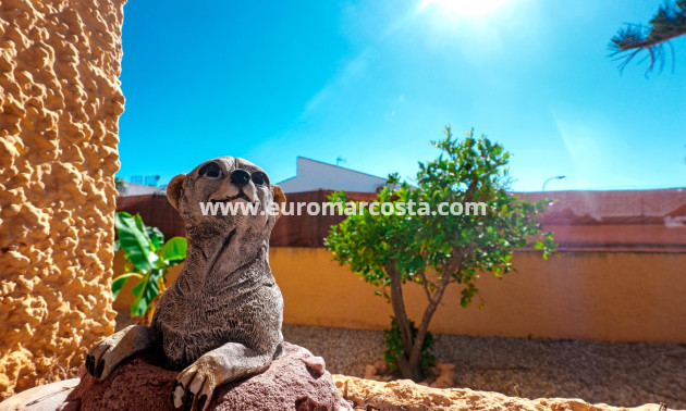 Objekte zum Wiederverkauf - Villa freitstehend - La Siesta - El Salado - Torreta - La Siesta