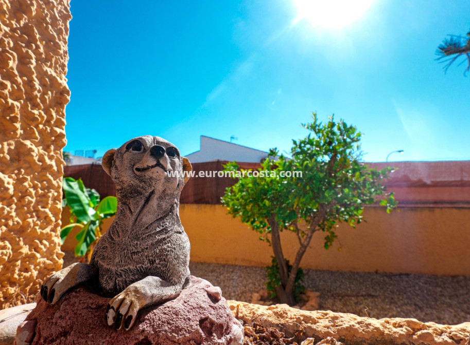 Objekte zum Wiederverkauf - Villa freitstehend - La Siesta - El Salado - Torreta - La Siesta