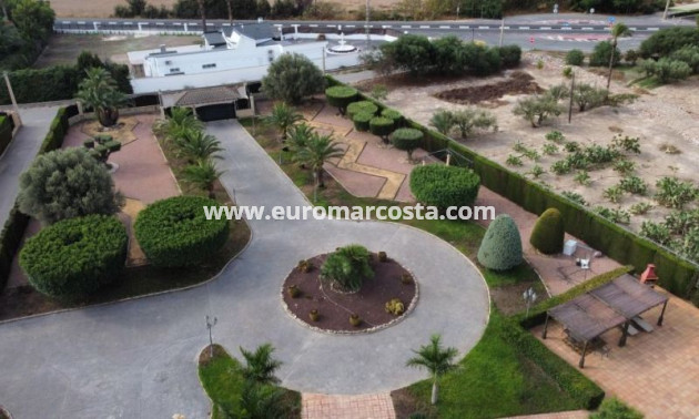 Sale - Villa - Elche - Elche/Elx