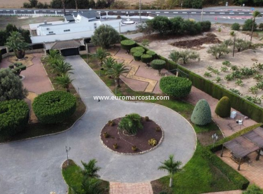 Sale - Villa - Elche - Elche/Elx