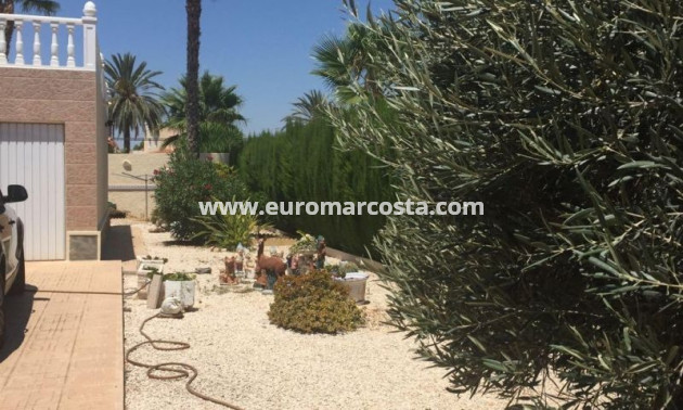 Venta - Villa - Torrevieja - TORREVIEJA