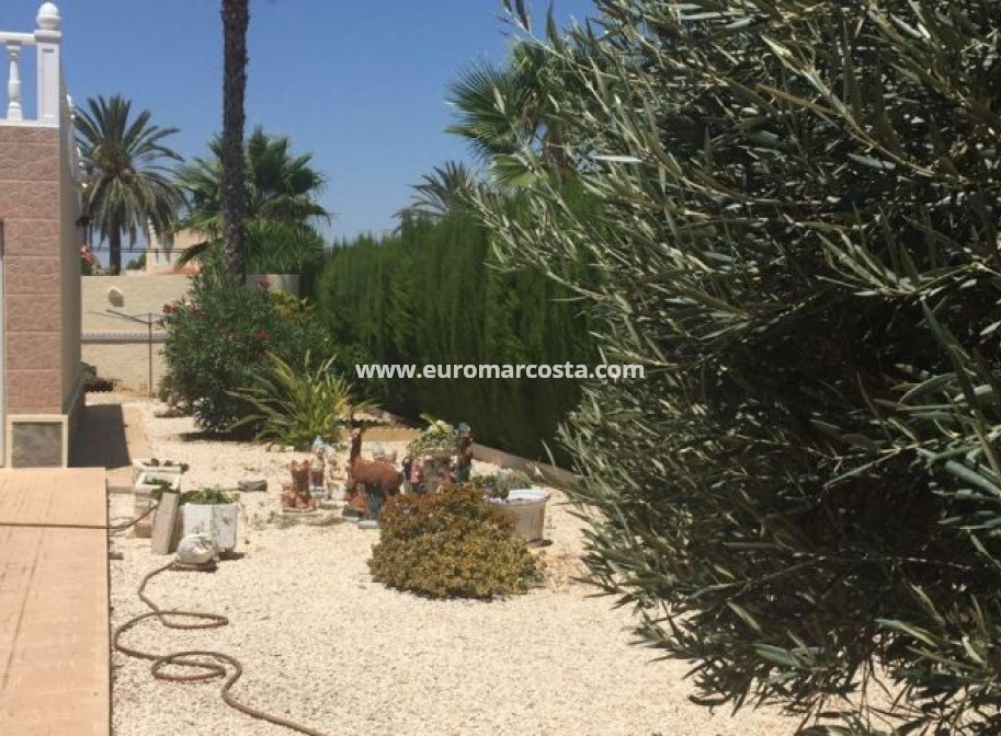 Venta - Villa - Torrevieja - TORREVIEJA