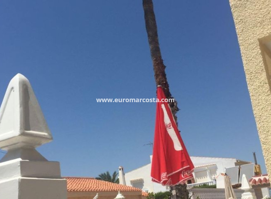 Venta - Villa - Torrevieja - TORREVIEJA