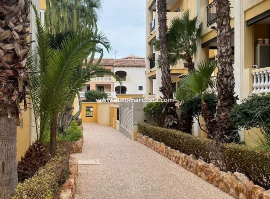 Sale - Apartment / flat - Torrevieja - TORREVIEJA