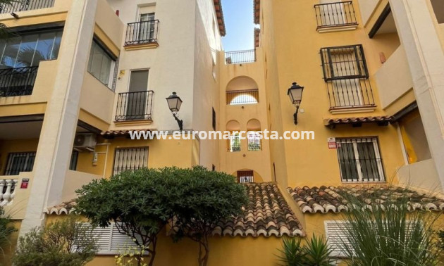 Sale - Apartment / flat - Torrevieja - TORREVIEJA