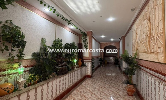 Venta - Apartamento / piso - Torrevieja - TORREVIEJA