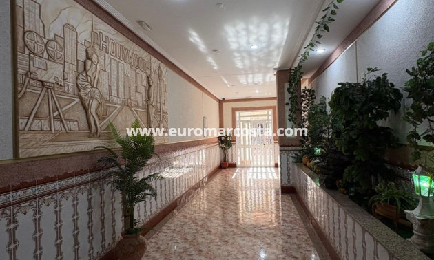 Venta - Apartamento / piso - Torrevieja - TORREVIEJA