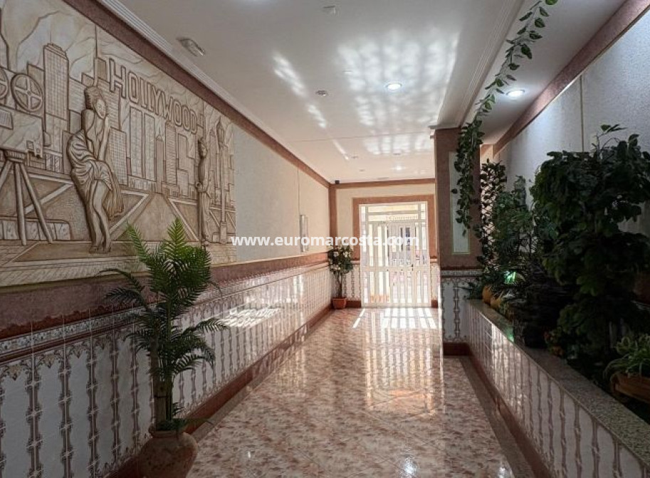 Venta - Apartamento / piso - Torrevieja - TORREVIEJA