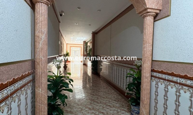 Venta - Apartamento / piso - Torrevieja - TORREVIEJA