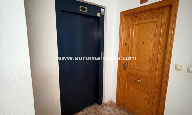 Venta - Apartamento / piso - Torrevieja - TORREVIEJA