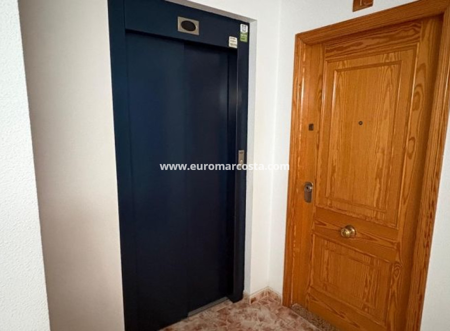 Venta - Apartamento / piso - Torrevieja - TORREVIEJA