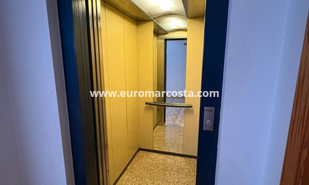 Venta - Apartamento / piso - Torrevieja - TORREVIEJA