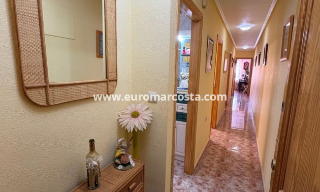 Venta - Apartamento / piso - Torrevieja - TORREVIEJA