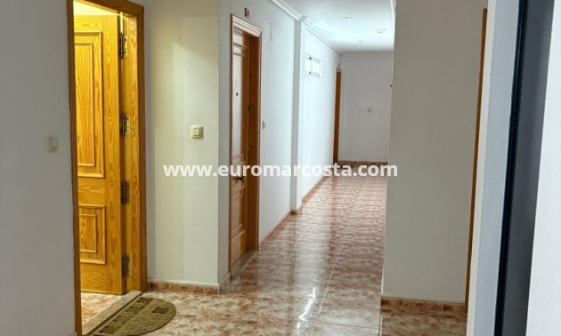 Venta - Apartamento / piso - Torrevieja - TORREVIEJA