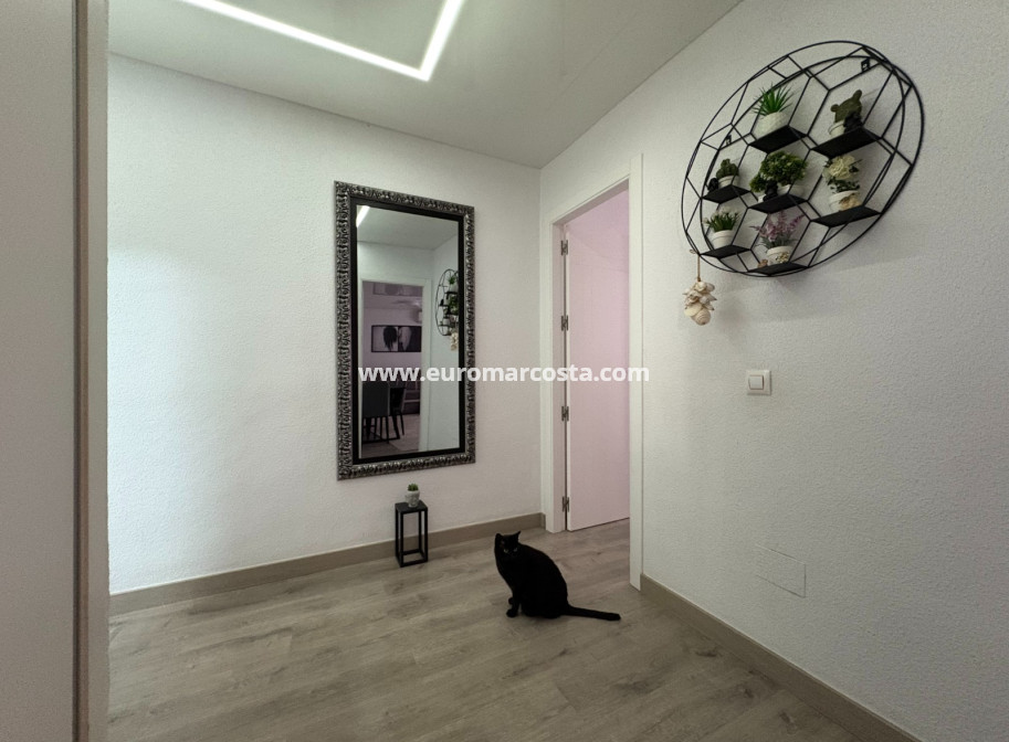 Sale - Apartments - Torrevieja - Centro