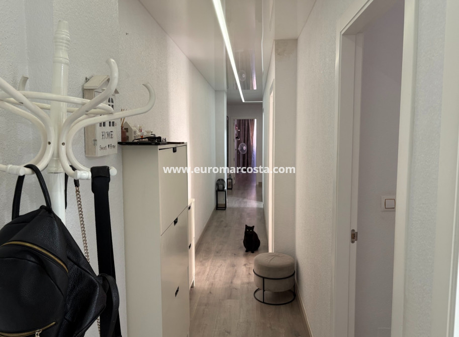 Sale - Apartments - Torrevieja - Centro