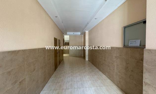 Sale - Apartments - Torrevieja - Centro