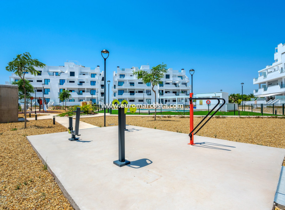 Sale - Apartments - Torre Pacheco - Santa Rosalia Lake And Life Resort