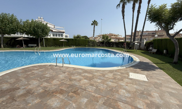 Sale - Apartments - Orihuela Costa