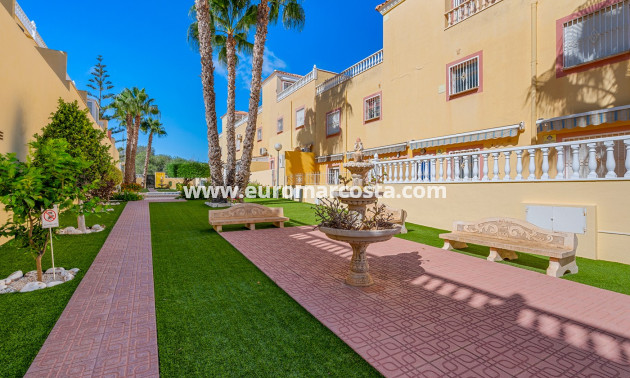 Objekte zum Wiederverkauf - Apartments - San Miguel de Salinas - Orihuela Costa