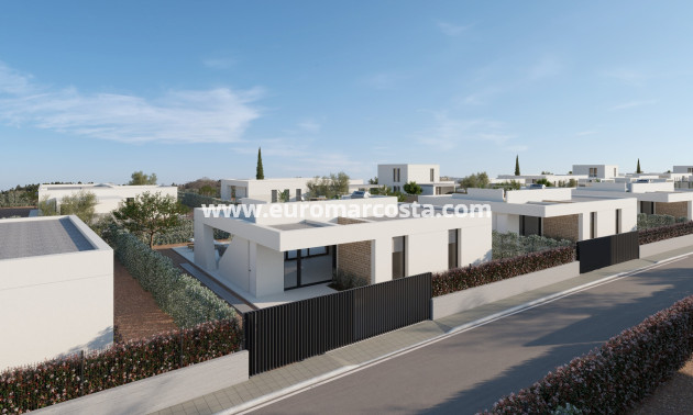 New Build - detached - Fuente Álamo de Murcia - Murcia