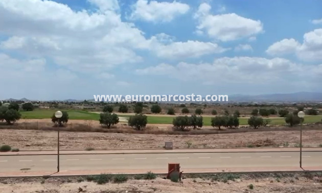 New Build - detached - Fuente Álamo de Murcia - Murcia