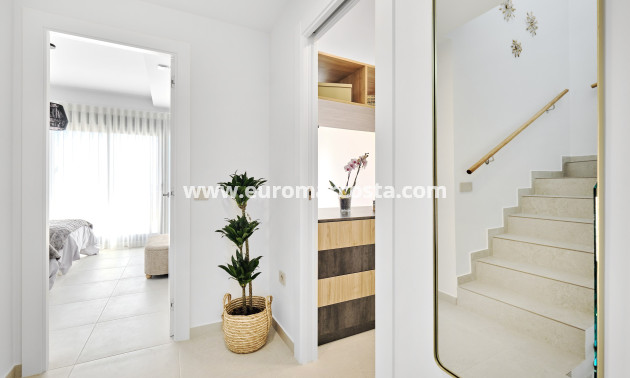 New Build - detached - San Miguel de Salinas