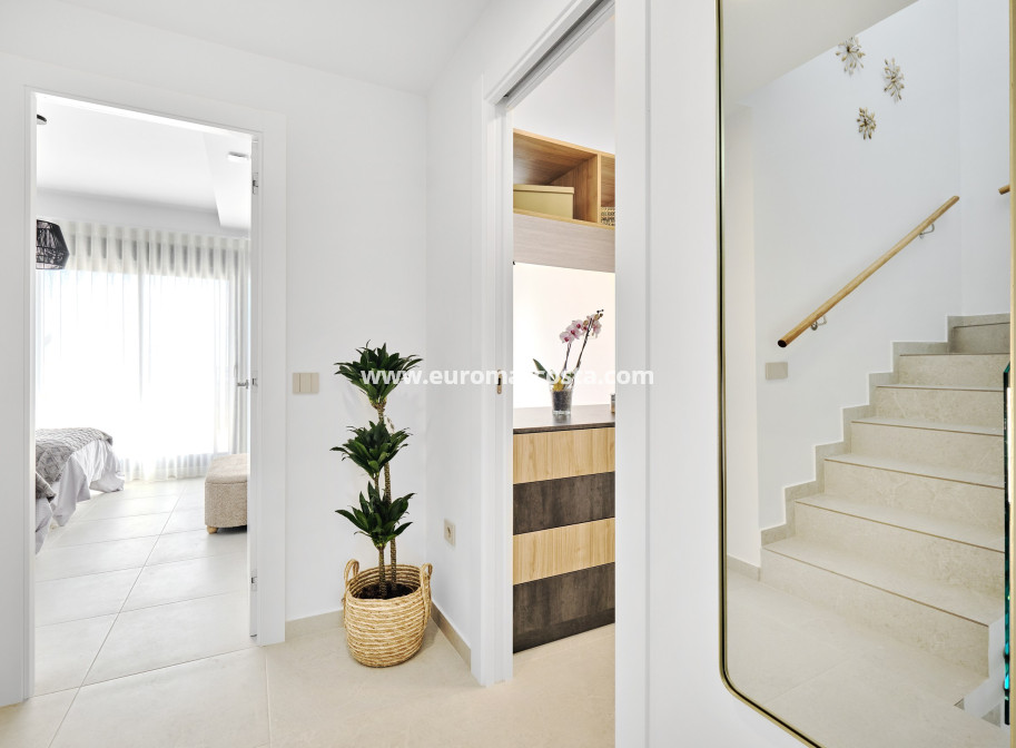 New Build - detached - San Miguel de Salinas