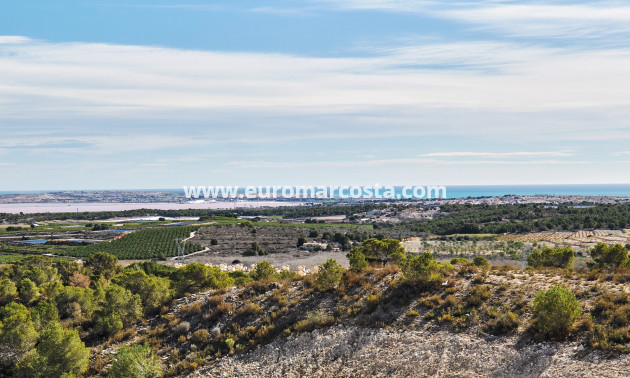 New Build - Villa - San Miguel de Salinas