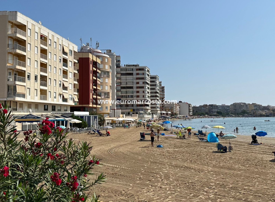Venta - Apartamento / piso - Torrevieja - TORREVIEJA