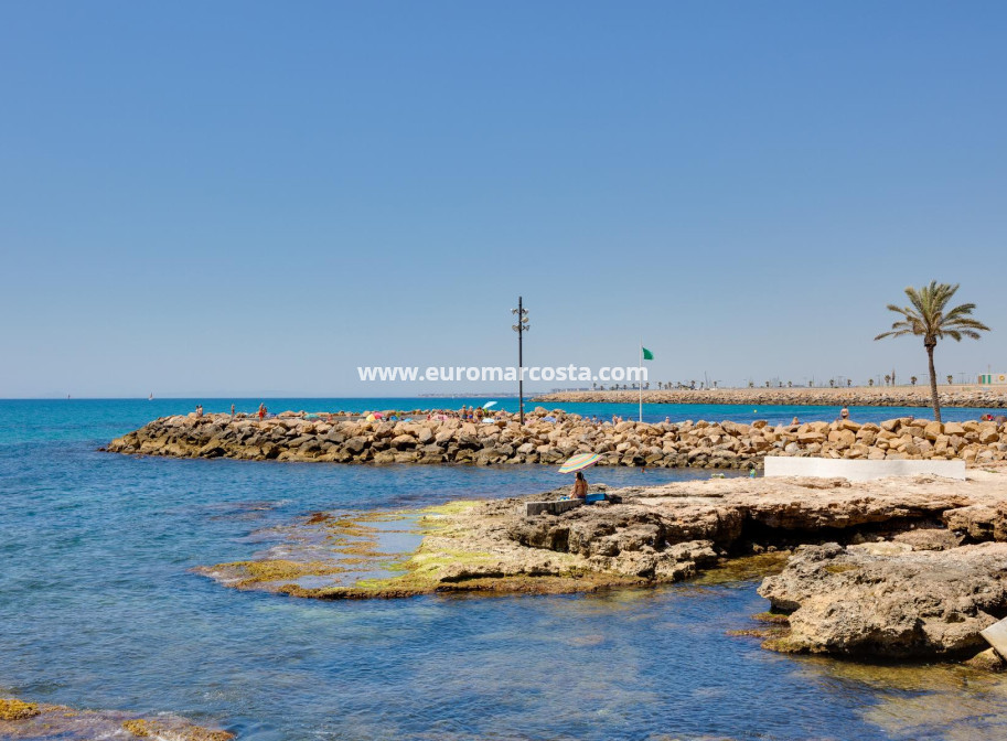Sale - Apartment / flat - Torrevieja - TORREVIEJA