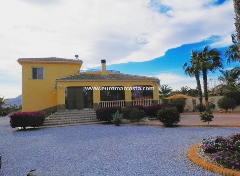 Sale - Finca/Country Property - Catral