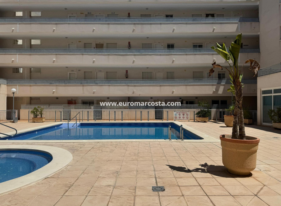 Venta - Apartamento / piso - Almoradi - Almoradí